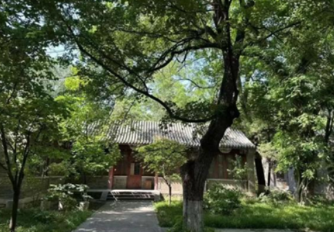 徐泓——燕南园56号：张龙翔、刘友锵夫妇